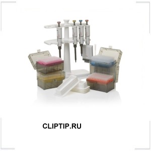 CLIPTIP.RU CLIPTIP.RU